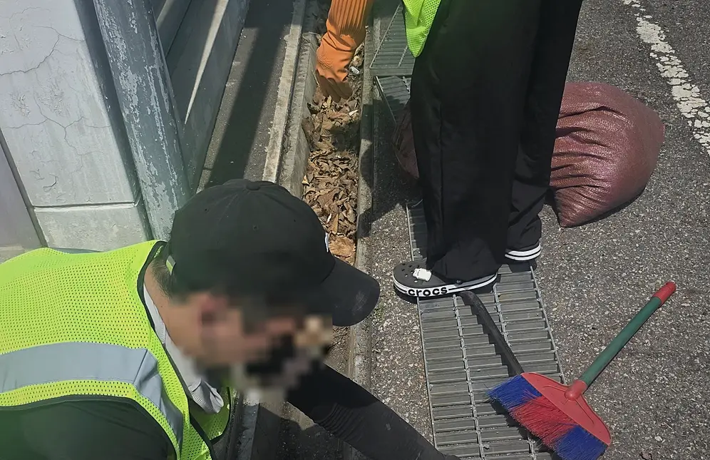 이천 상가 고독사 현장청소 24시 유품정리·고독사 현장